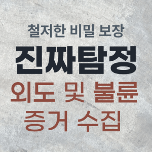 외도·불륜 사실 확인