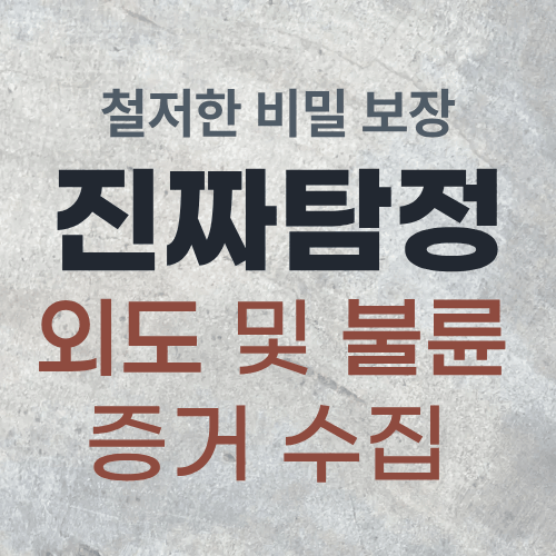 외도·불륜 사실 확인