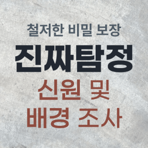 신원 및 배경 조사